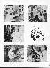 page37